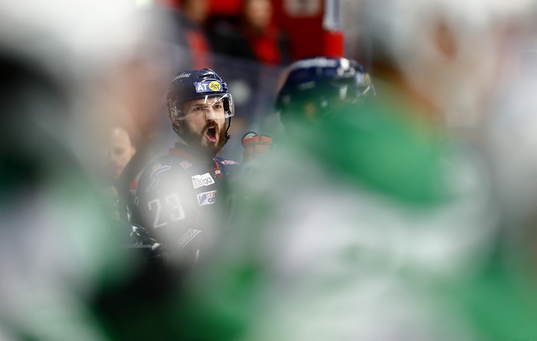 Linköpings Niklas Persson