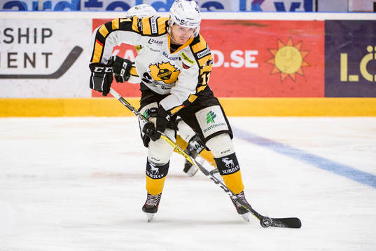 Skellefteås Henrik Hetta
