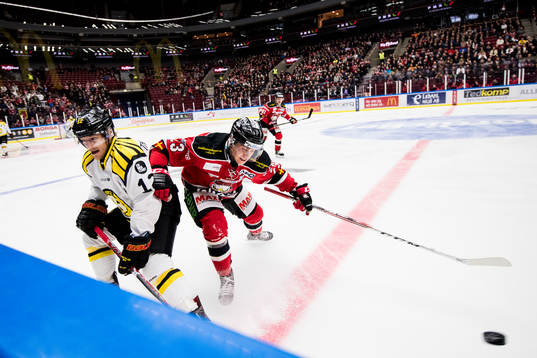 Brynäs Gustaf Thorell och Malmö Redhawks Christoffer