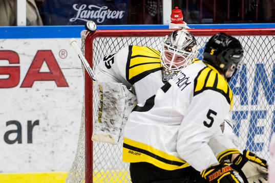 Brynäs målvakt David Rautio