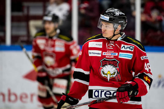 Malmö Redhawks Rhett Rakhshani deppar