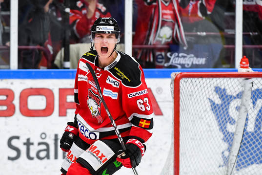 Malmö Redhawks Fredrik Händemark  jublar