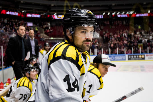 Brynäs Johan Alcén