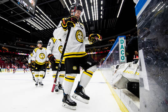 Brynäs Jacob Blomqvist deppar när han lämnar isen