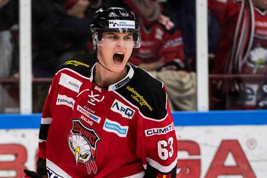 Malmö Redhawks Fredrik Händemark jublar