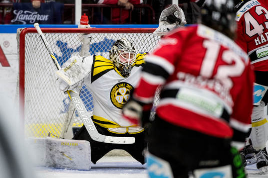 Brynäs målvakt David Rautio
