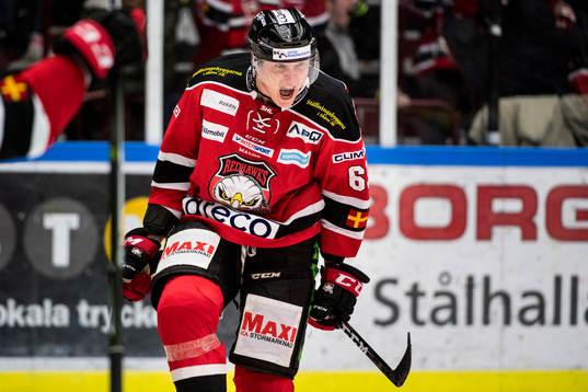 Malmö Redhawks Fredrik Händemark jublar