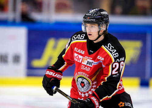 Luleås Livio Stadler