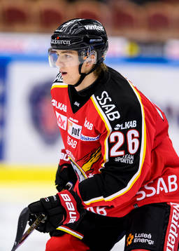 Luleås Livio Stadler