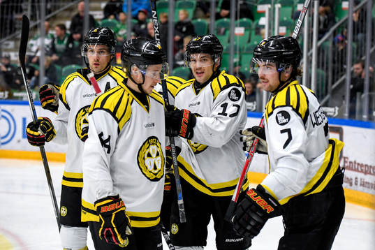 Brynäs Pathrik Westerholm jublar