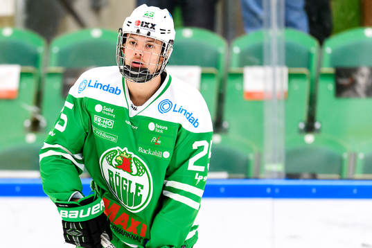 Rögles Lukas Elvenes