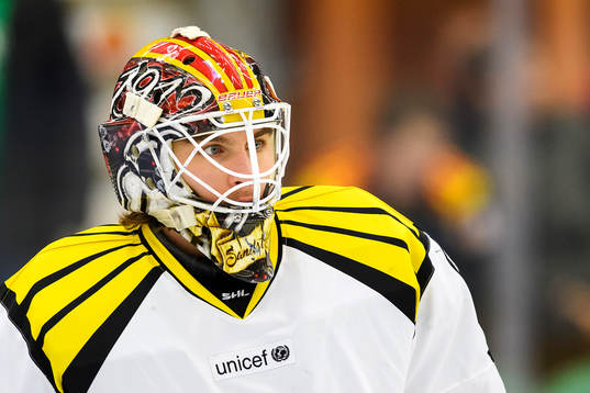 Brynäs målvakt Felix Sandström