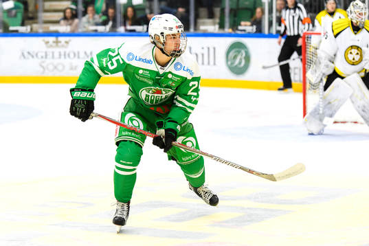 Rögles Lukas Elvenes