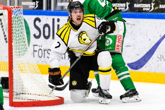 Brynäs Ponthus Westerholm