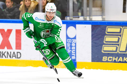 Rögles Alen Bibic