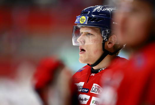 Linköpings Niclas Lundgren