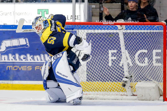 s målvakt Fredrik Pettersson-Wentzel jublar