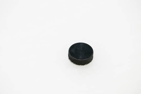 En puck ligger på isen
