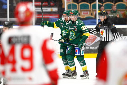 Björklövens Zach Hamill blir hjälpt av isen