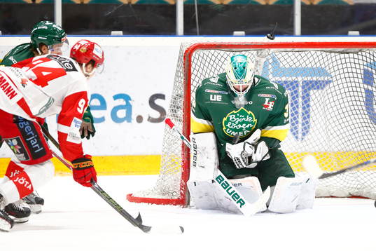 Björklövens målvakt Adam Werner räddar Almtunas