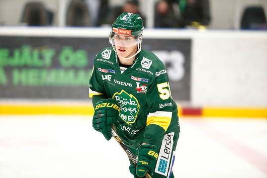 Björklövens Christian Bull