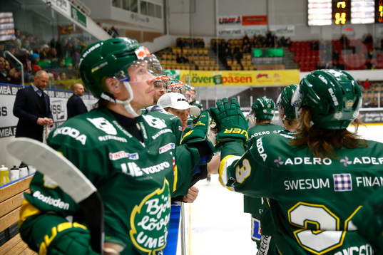 Björklövenjubel