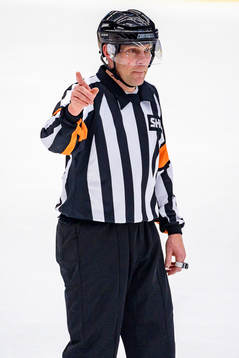Domare Morgan Johansson