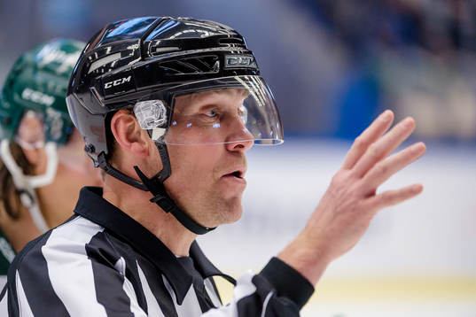 Domare Morgan Johansson