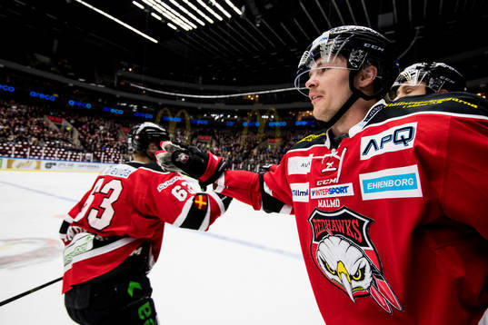 Malmö Redhawks Fredrik Händemark jublar med Nicklas