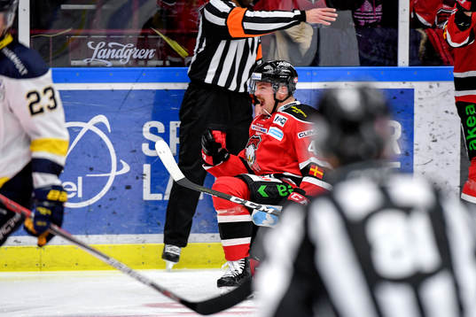 Malmö Redhawks Nichlas Hardt jublar