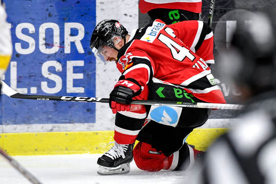 Malmö Redhawks Nichlas Hardt jublar