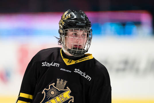 s Nils Höglander