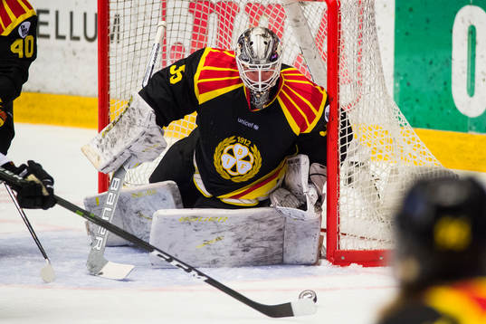 Brynäs målvakt David Rautio
