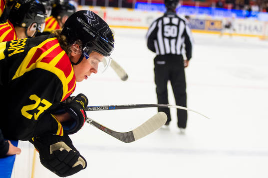 Brynäs Lucas Carlsson deppar