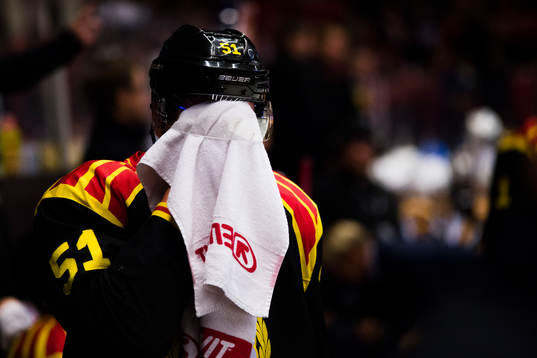 Brynäs Marc Zanetti