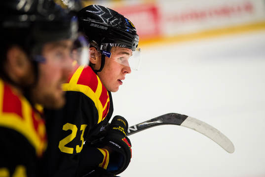 Brynäs Lucas Carlsson