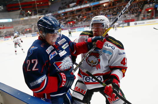 Linköpings Vilmos Gallo och Malmö Redhawks Nichlas Hardt