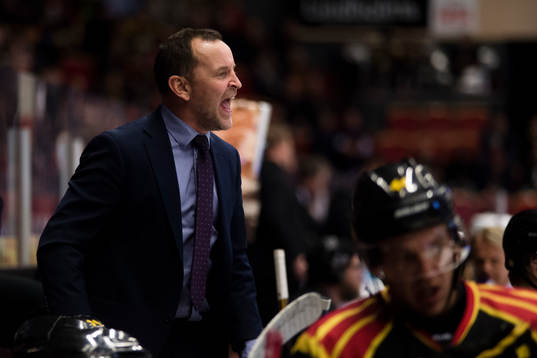 Brynäs tränare Thomas Berglund