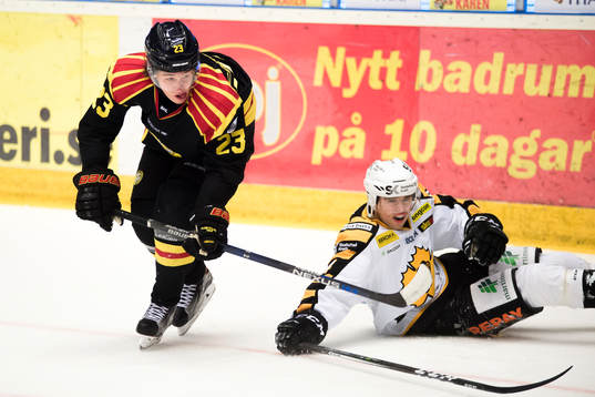 Brynäs Lucas Carlsson och  Skellefteås Emil Pettersson