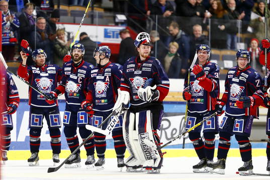 Linköping med målvakt Marcus Högberg jublar