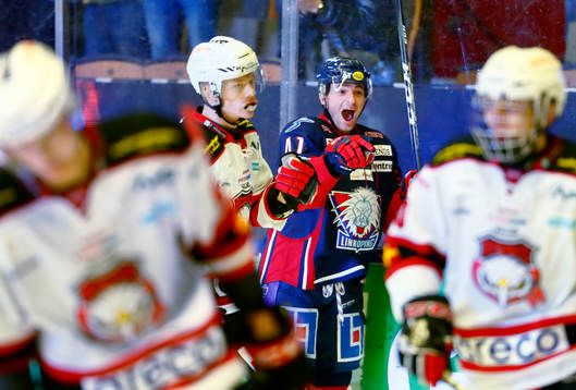 Linköpings Broc Little jublar  och Malmö Redhawks spelare