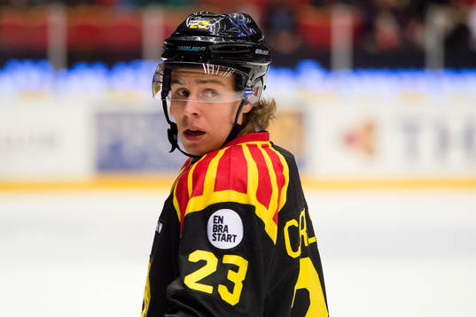 Brynäs Lucas Carlsson