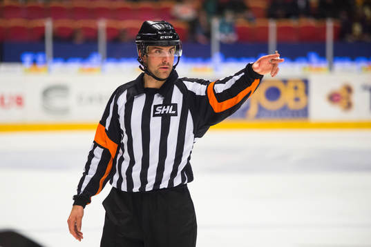 Domare Mikael Sjöqvist