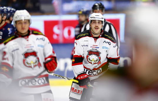 Malmö Redhawks Konstantin Komarek deppar