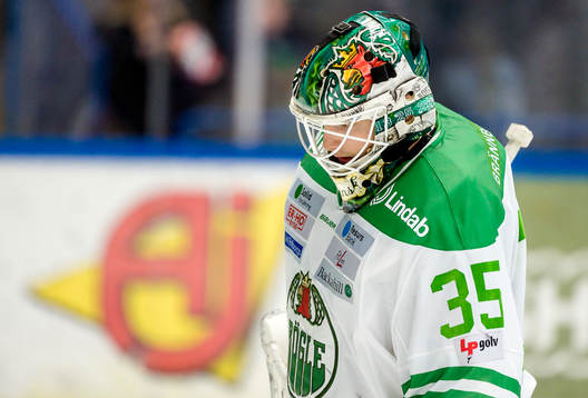Rögles målvakt Oscar Dansk deppar
