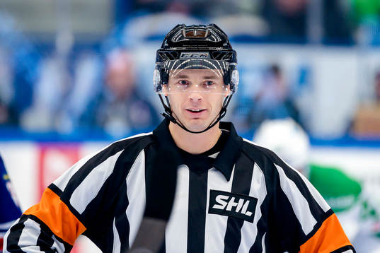 Domare Mikael Andersson