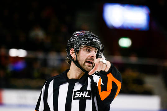 Domaren Mikael Sjöqvist