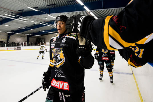 Panterns Oscar Nord jublar
