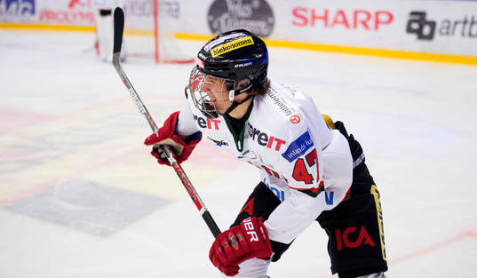 Modos Victor Berglund