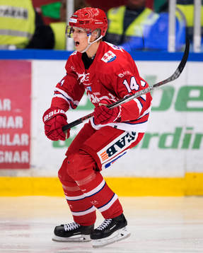 Timrås Elias Pettersson jublar